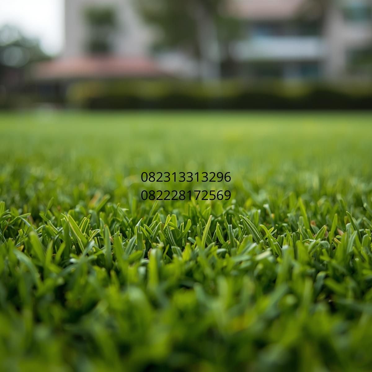 supplier rumput sintetis Makassar