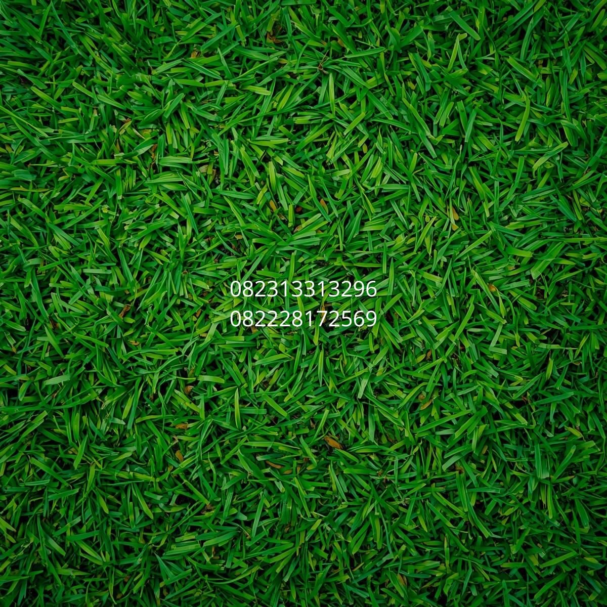 jual rumput sintetis Jogja