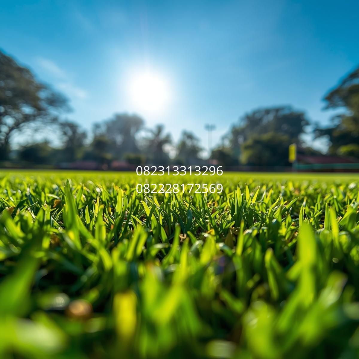 harga rumput sintetis Jogja