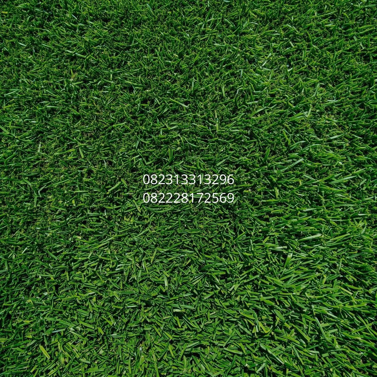supplier rumput sintetis Yogyakarta