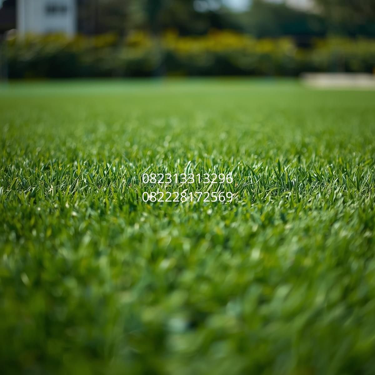 rumput sintetis taman Jogja