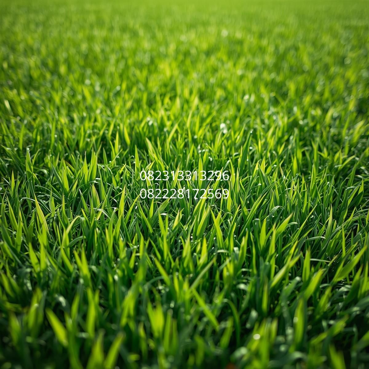 pemasangan rumput sintetis Malang