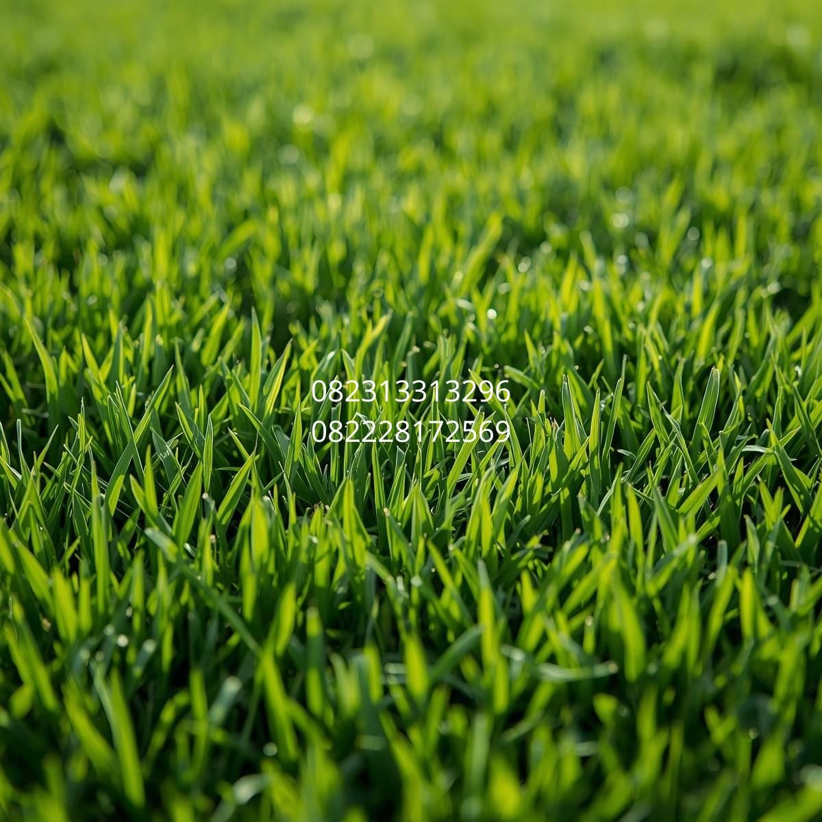 rumput sintetis murah Malang