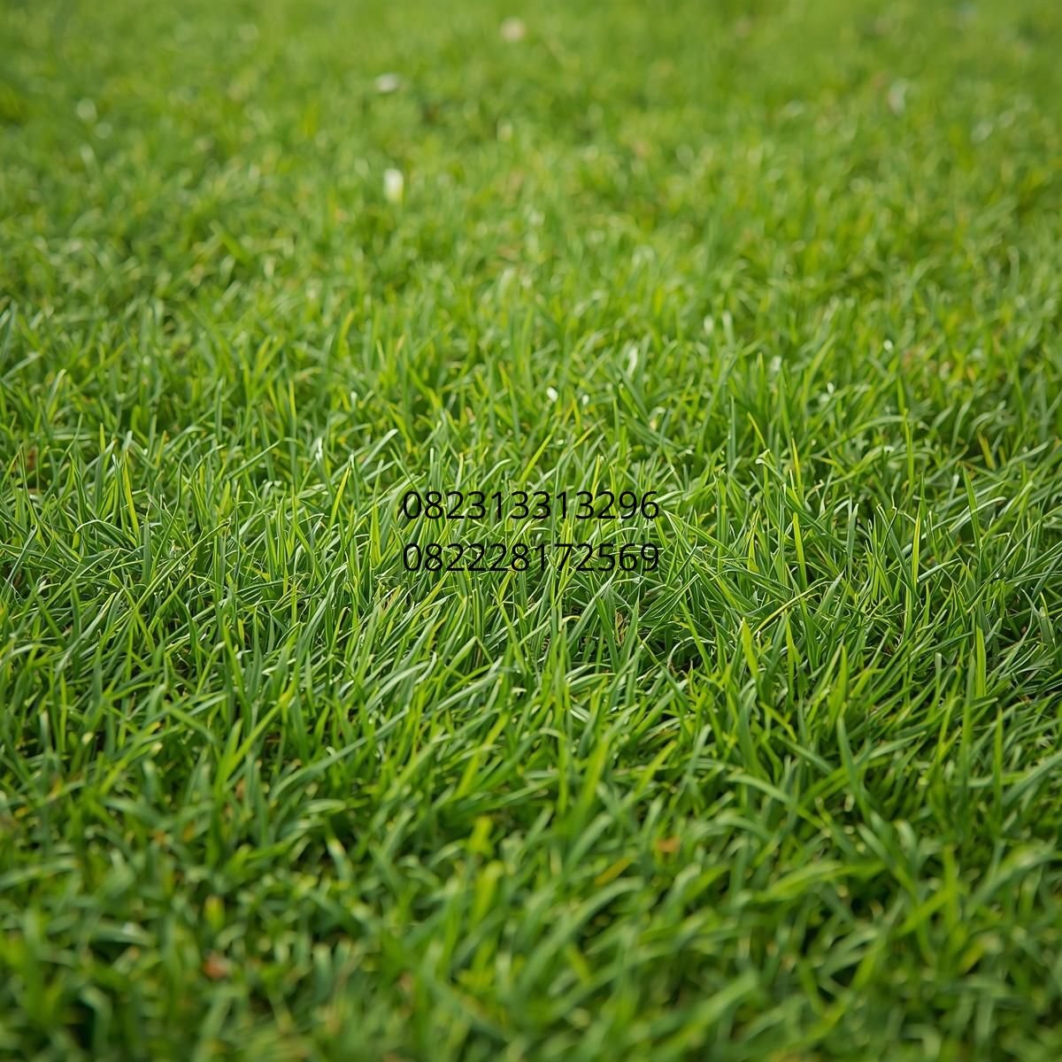 jual rumput sintetis Malang