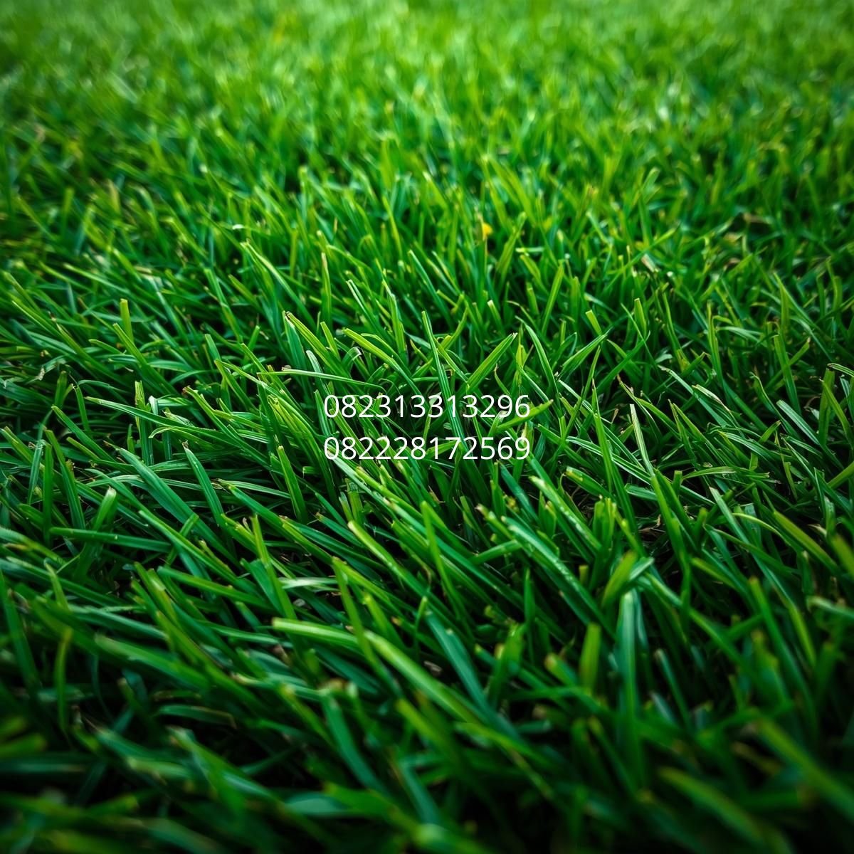 rumput sintetis dekorasi Sidoarjo