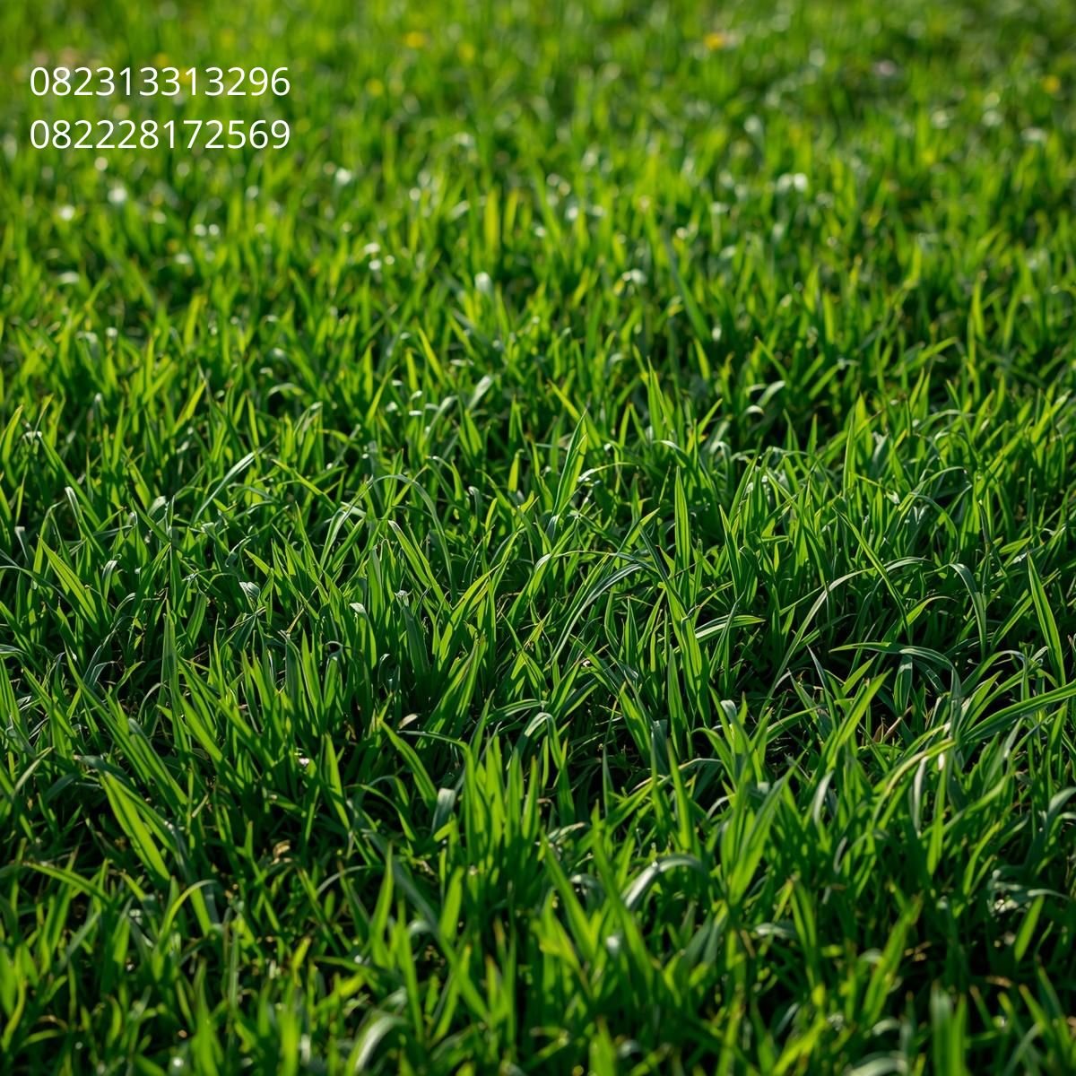 Rumput Taman Sintetis