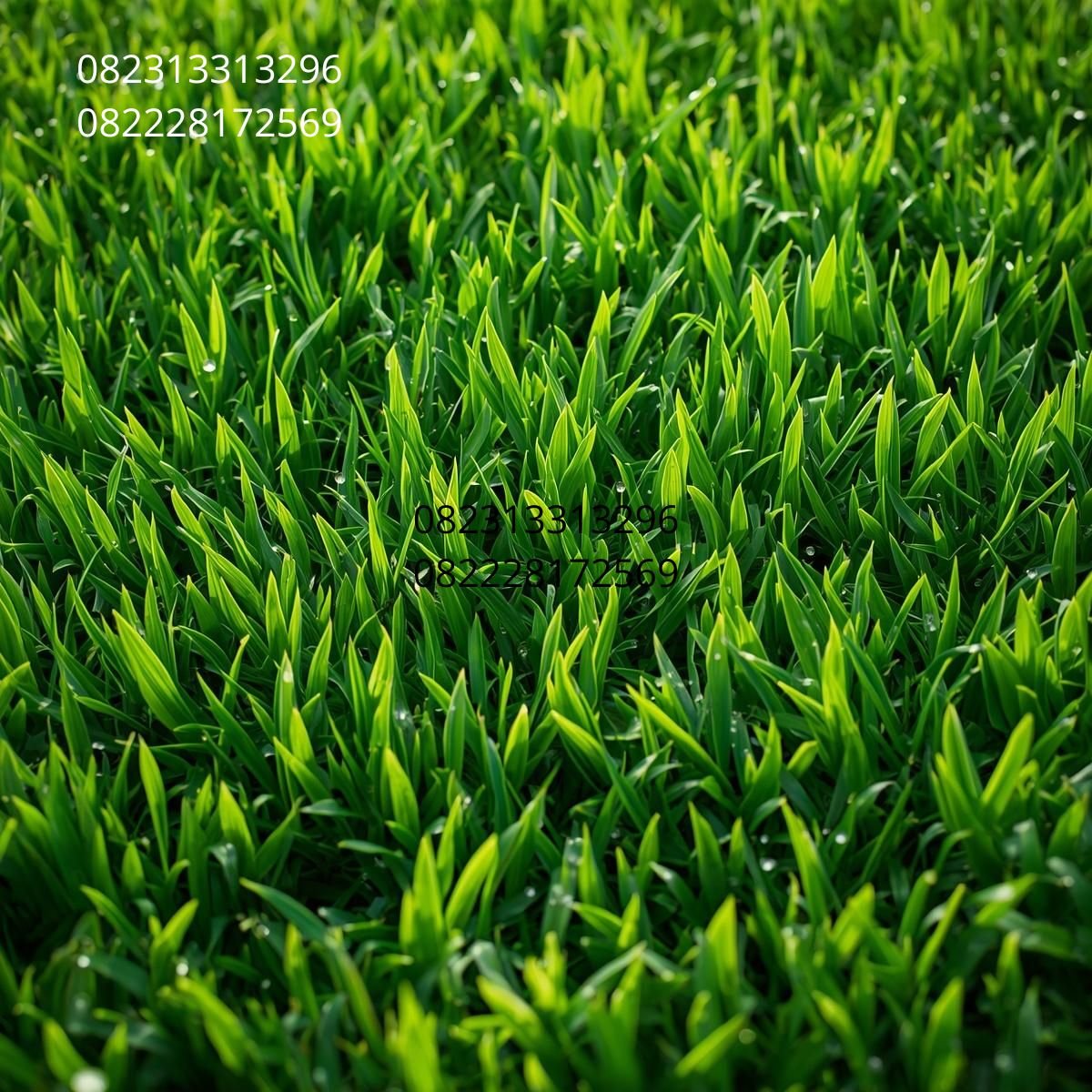 Rumput Artificial