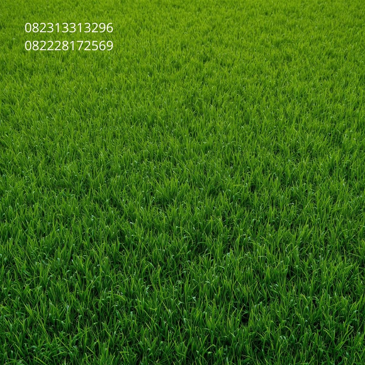 Pabrik Rumput Sintetis