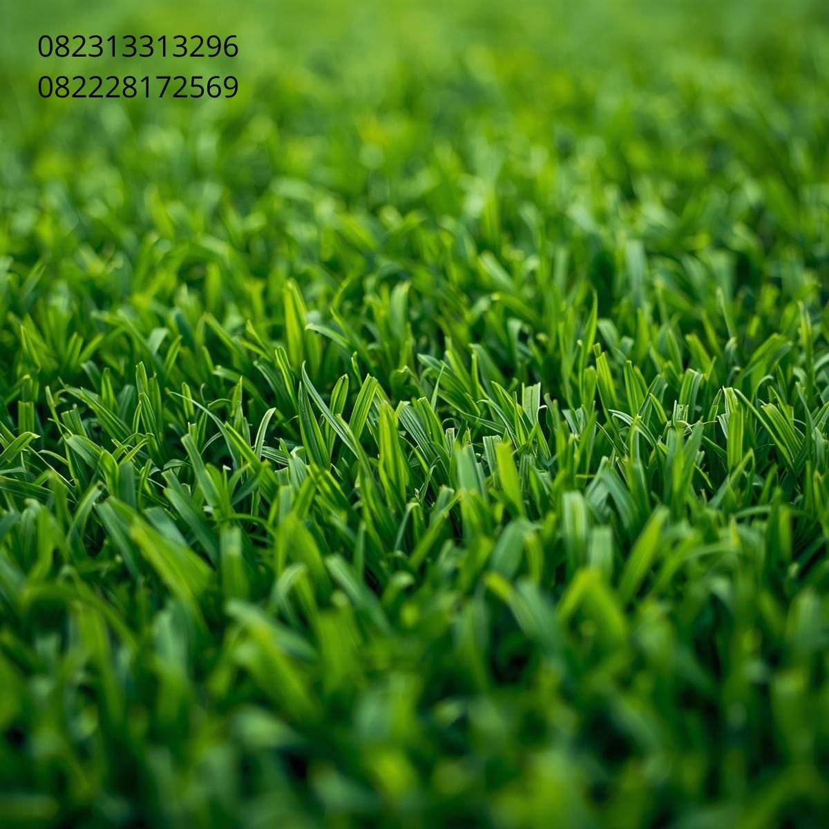 Jual Rumput Sintetis