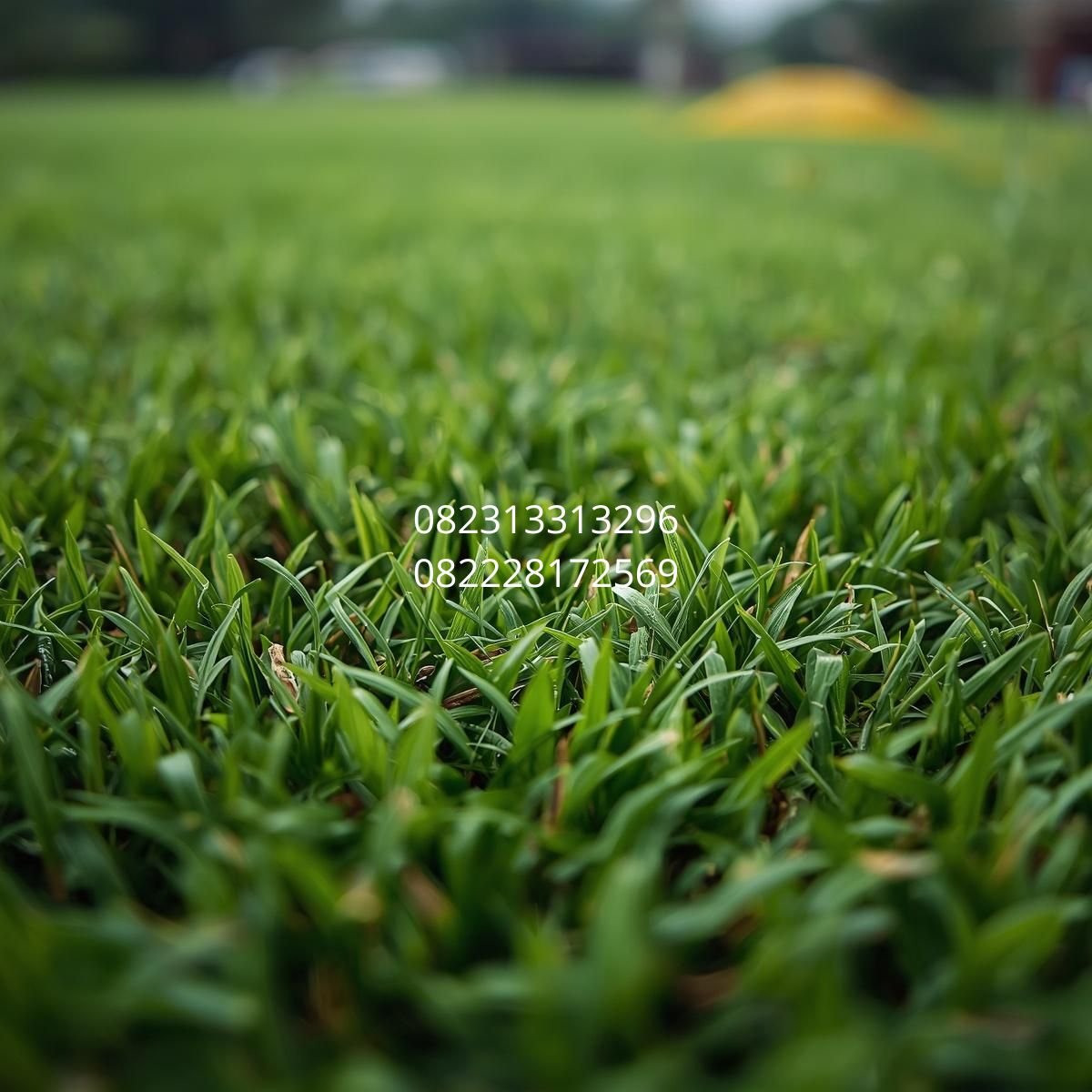 pemasangan rumput sintetis Jakarta