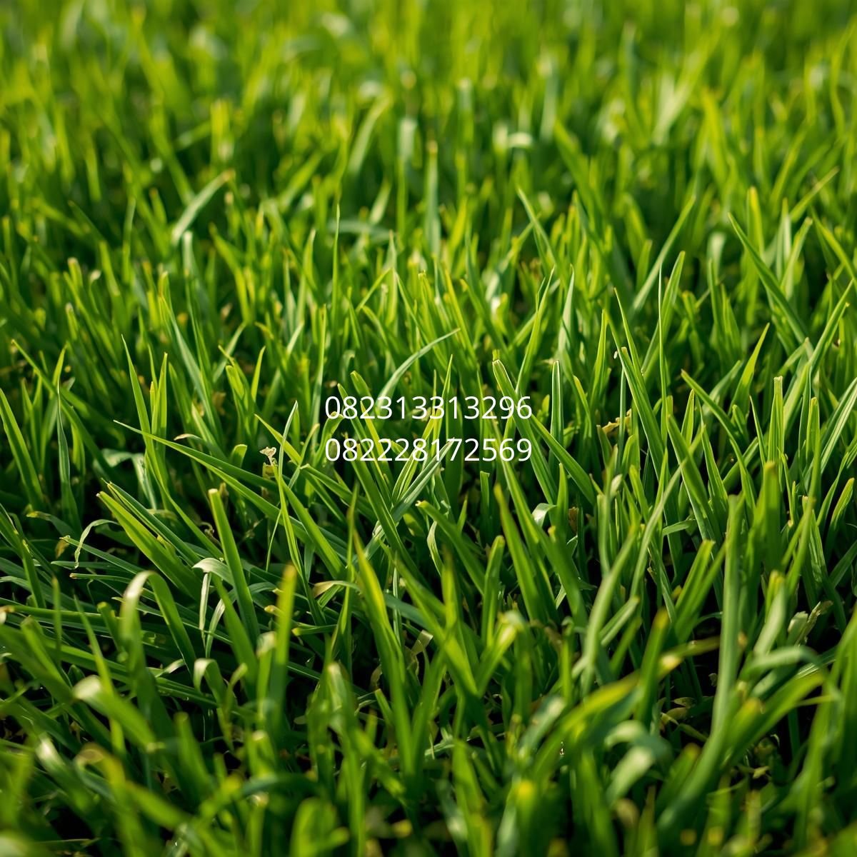 rumput sintetis taman Surabaya