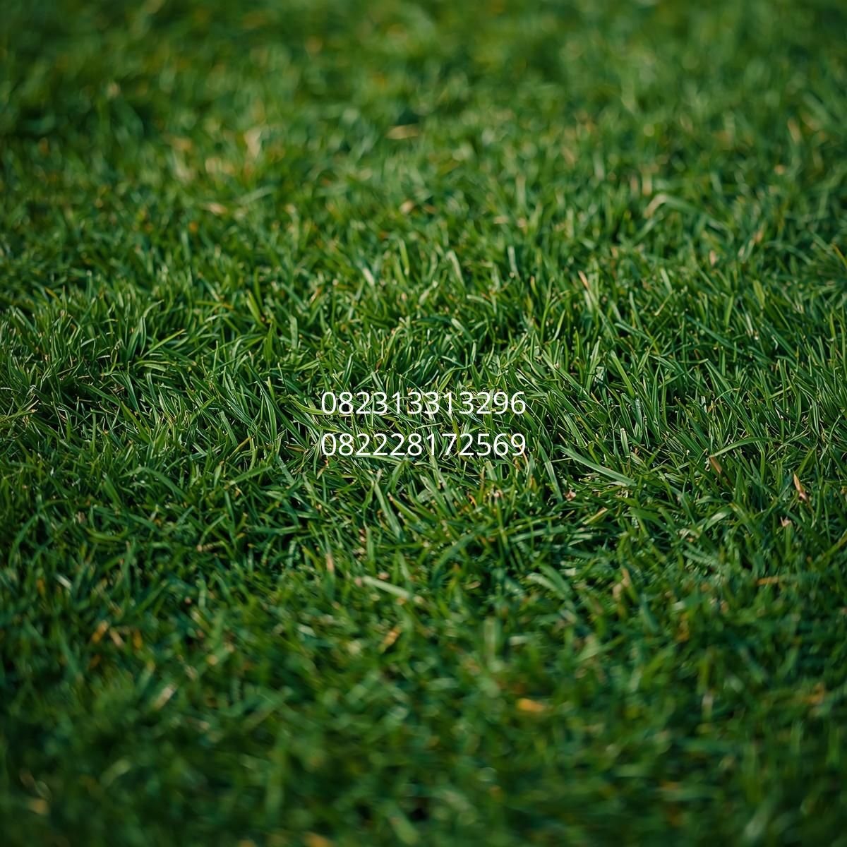 jual rumput sintetis taman