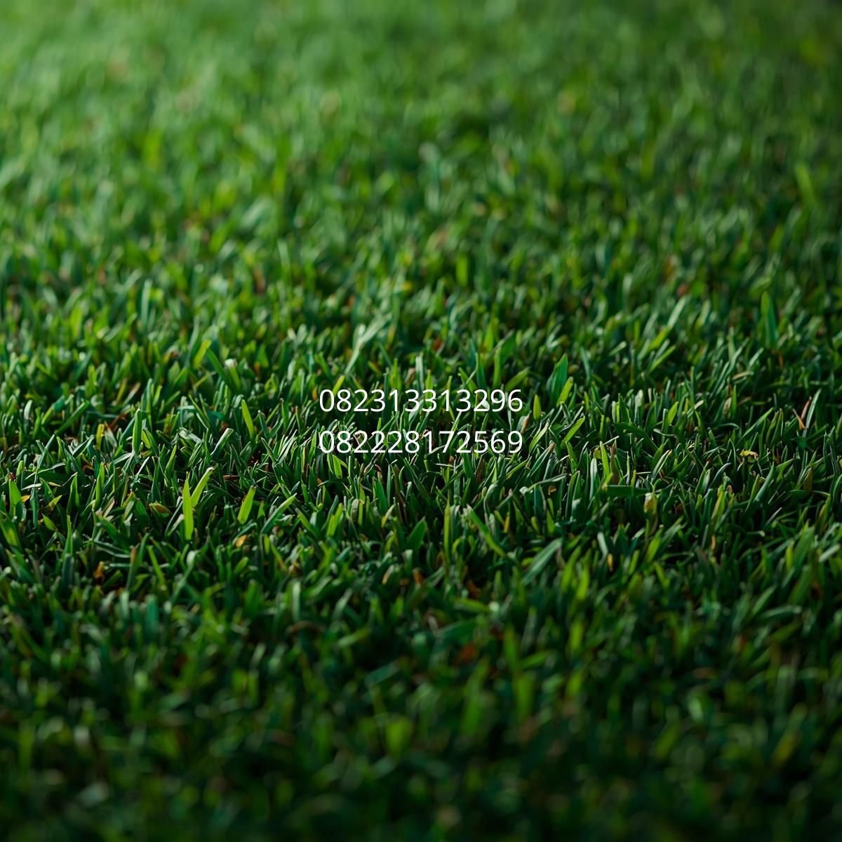 rumput sintetis olahraga