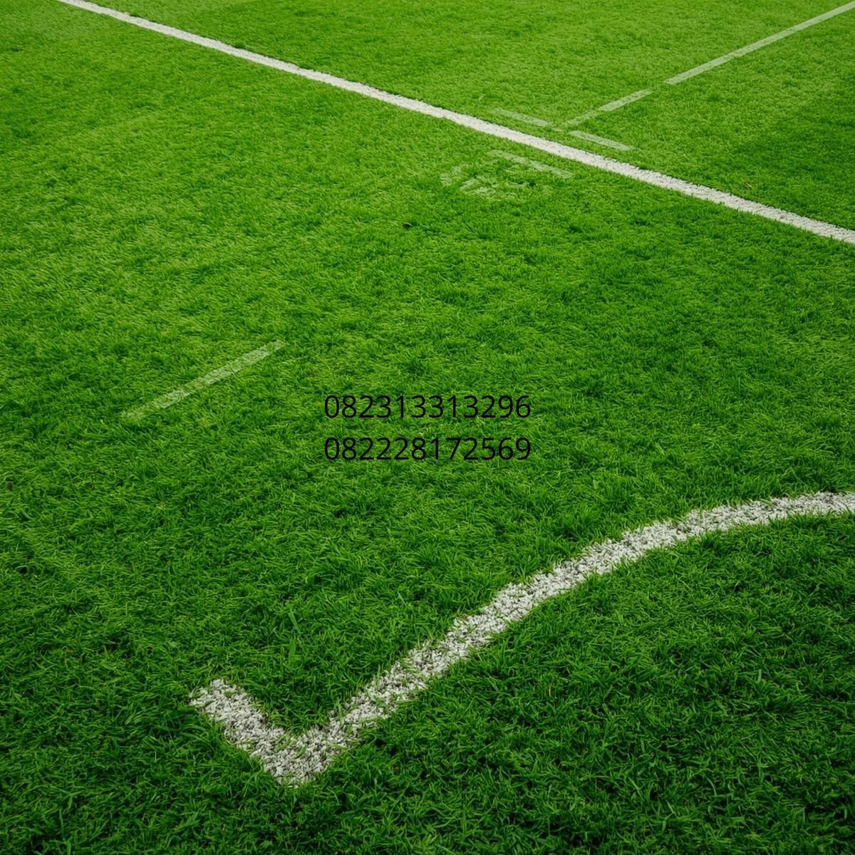 rumput sintetis outdoor futsal