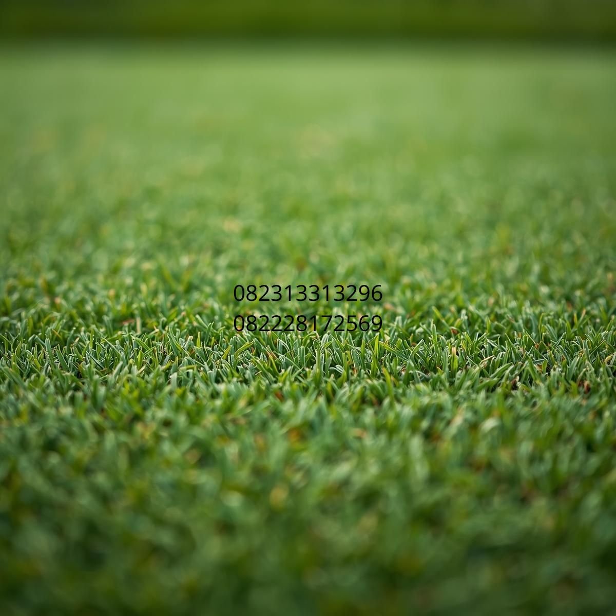 rumput sintetis lapangan golf