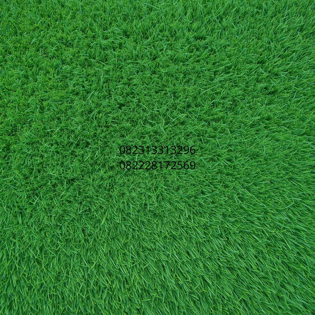 rumput sintetis mini golf