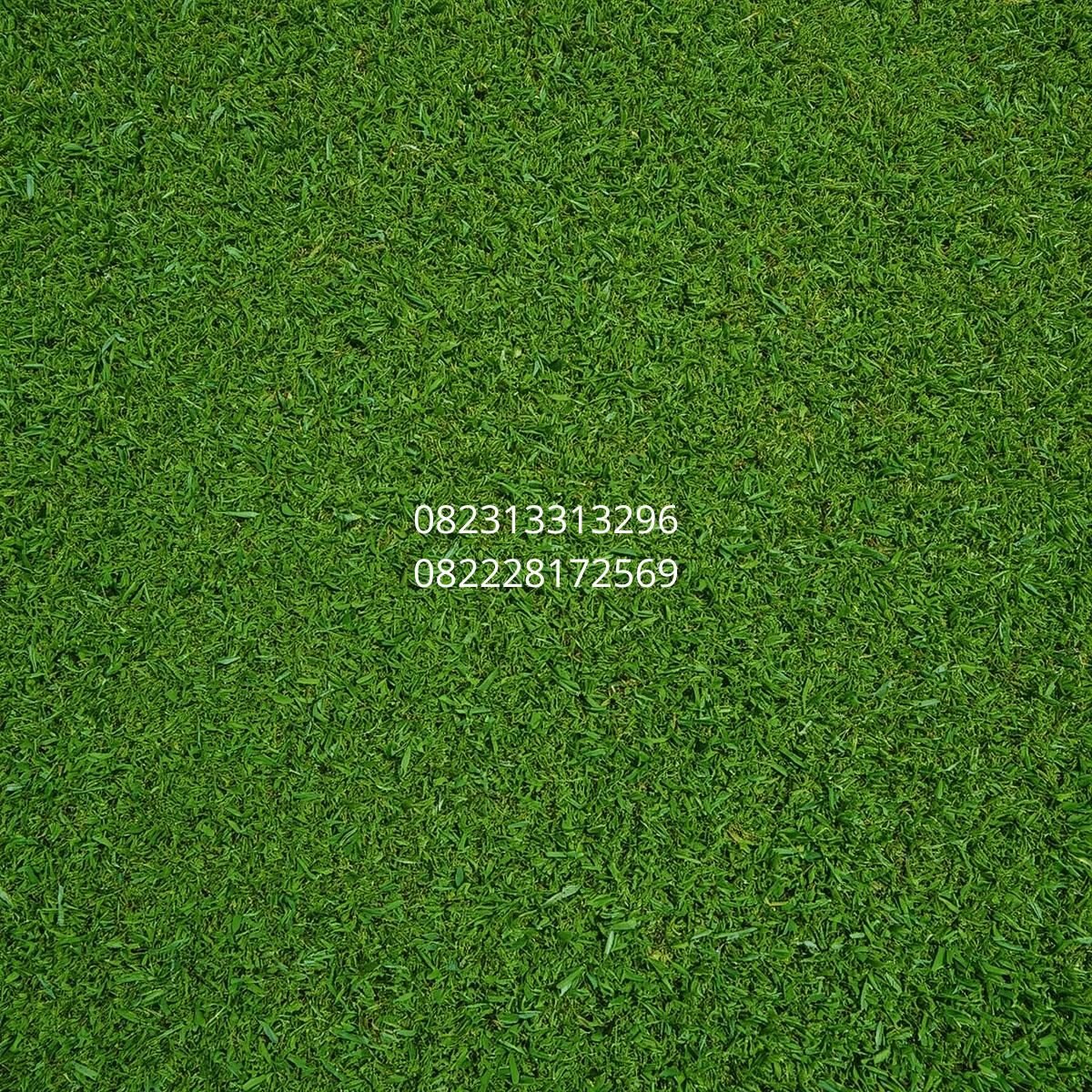 rumput sintetis golf berkualitas