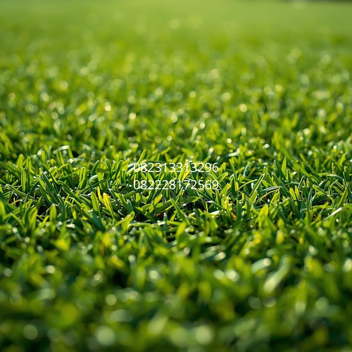 rumput sintetis untuk putting green