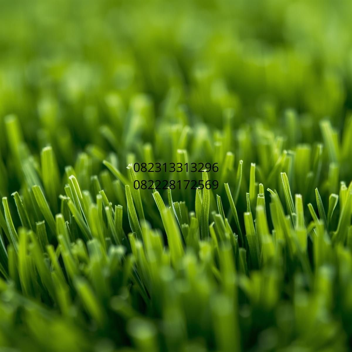 rumput sintetis premium import