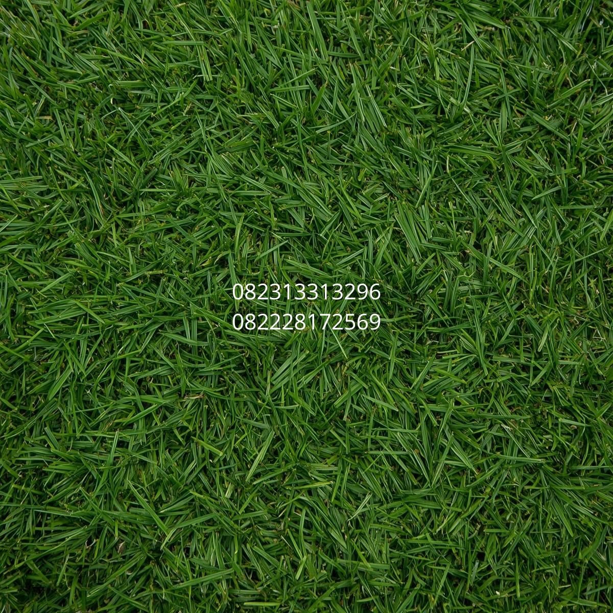 rumput sintetis terbaik import