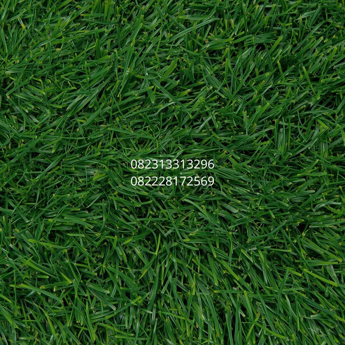 rumput sintetis taman import