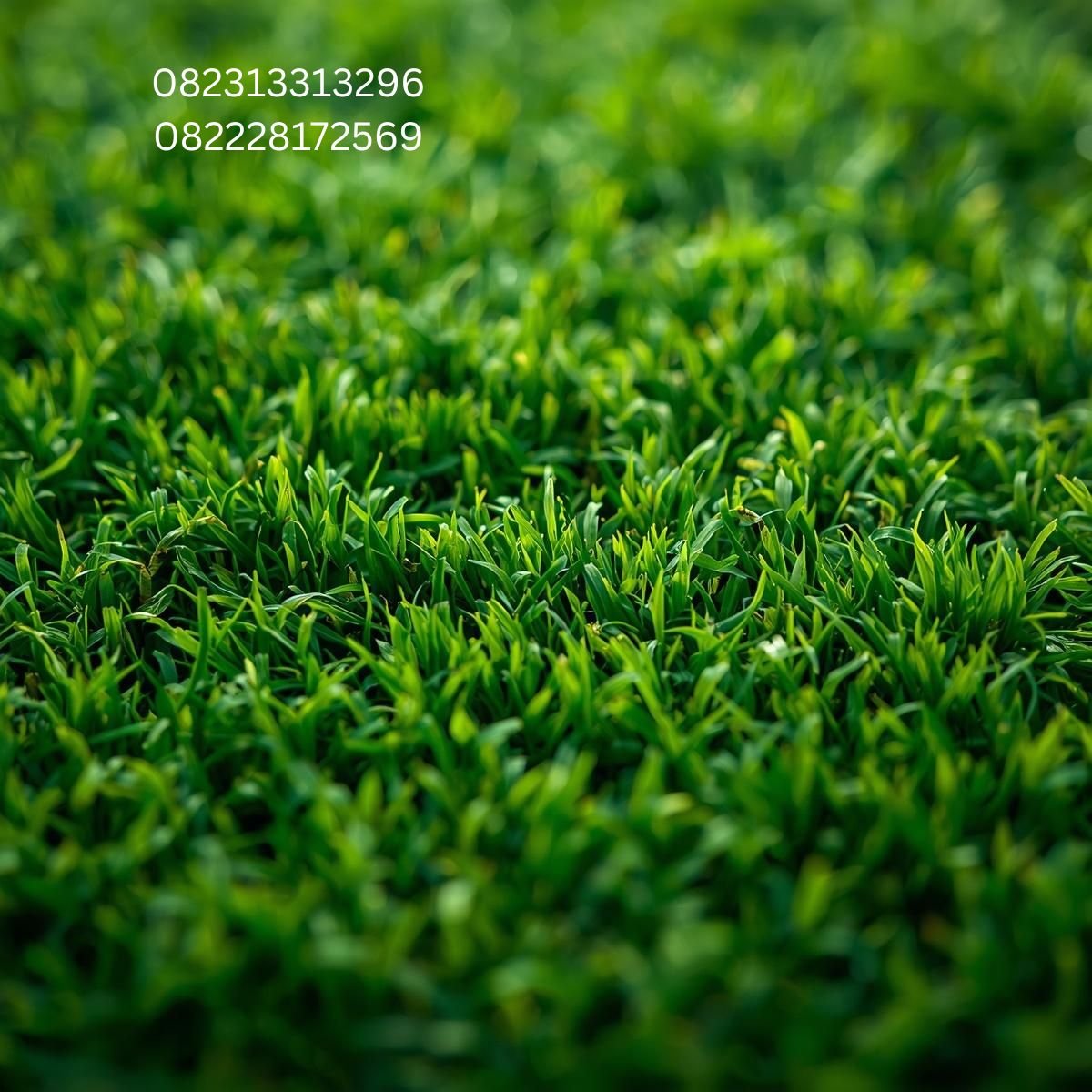 Rumput Sintetis Rooftop