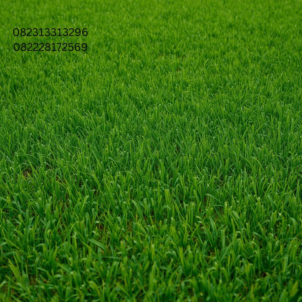 Rumput Sintetis Taman