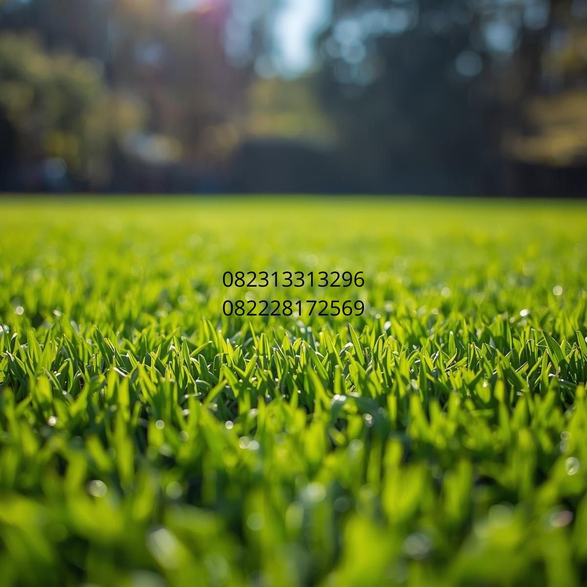 Rumput Sintetis Taman