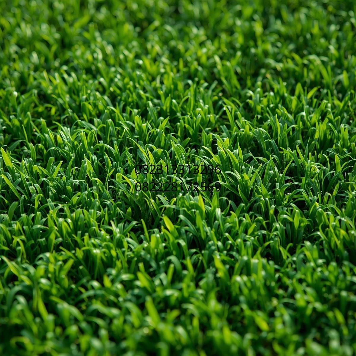 harga rumput sintetis Malang