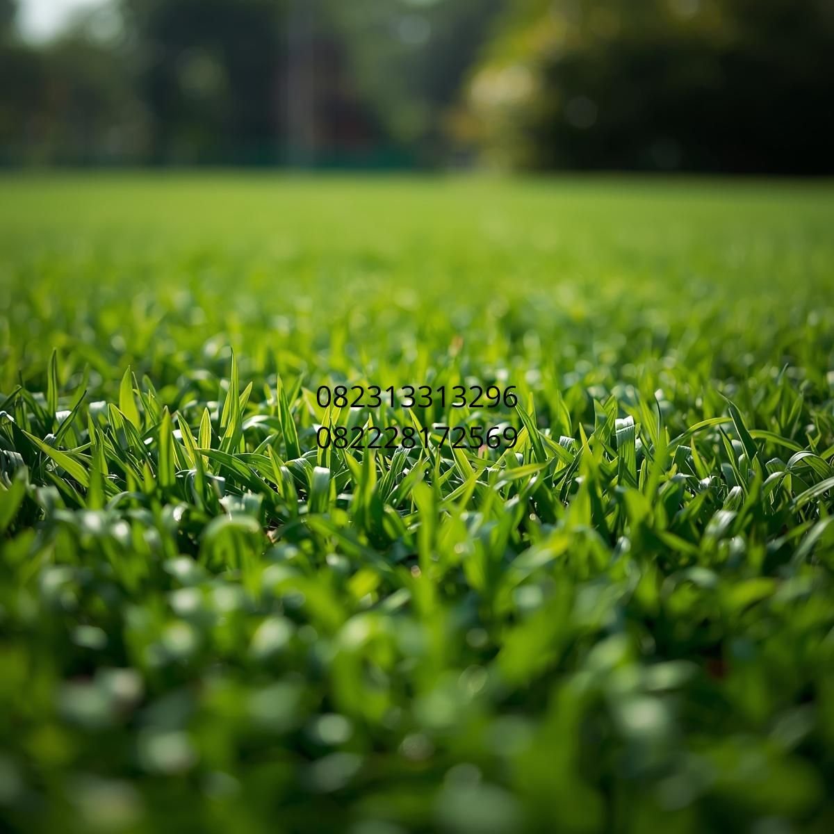 rumput sintetis taman Sidoarjo