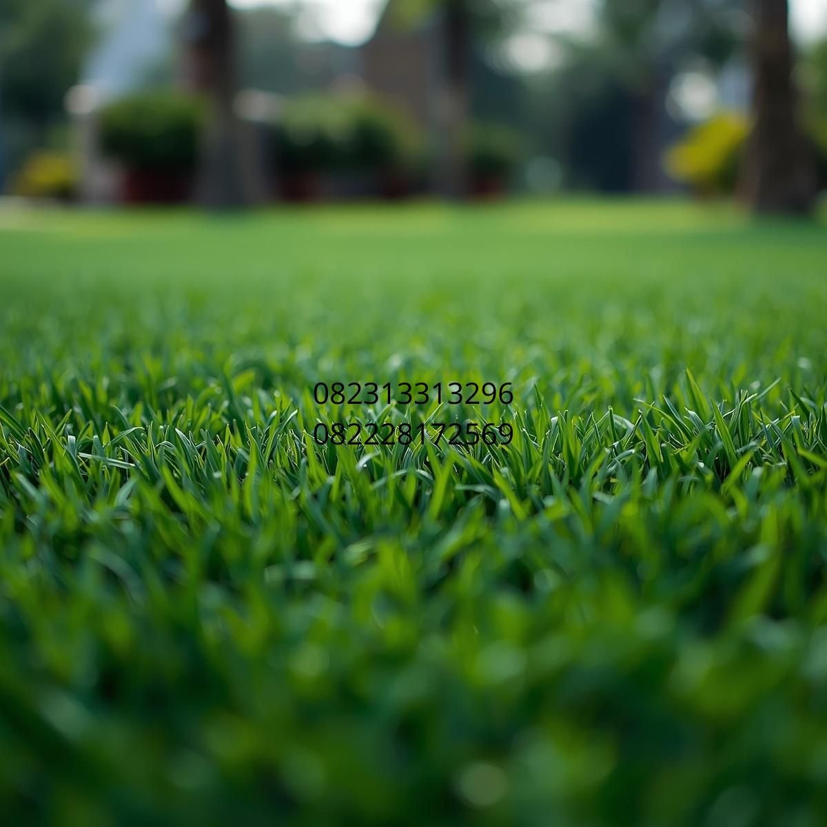 jual rumput sintetis Sidoarjo