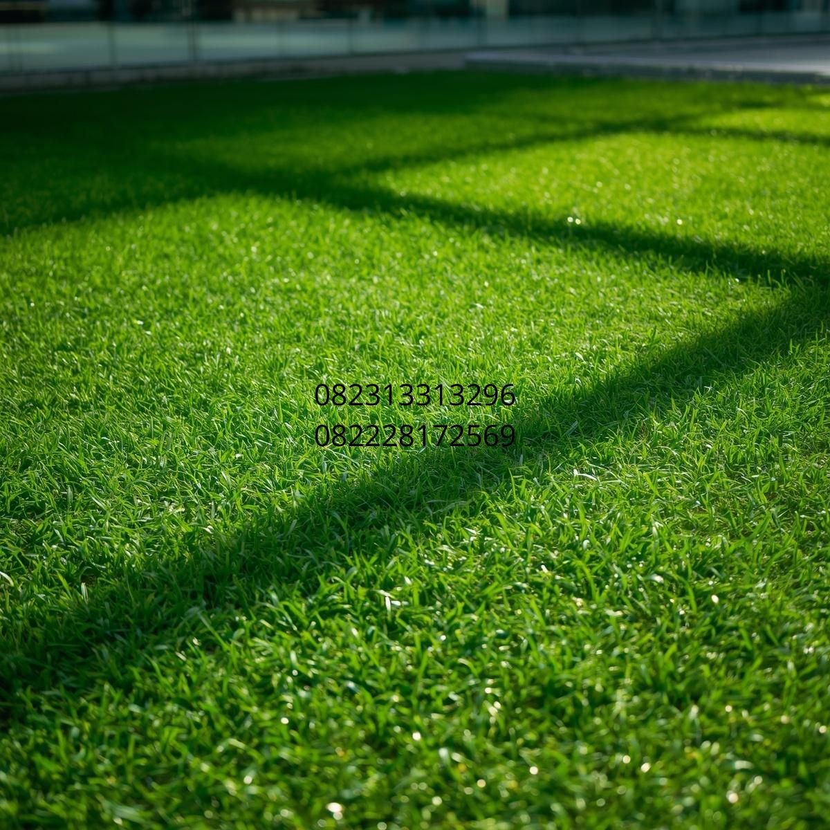 Rumput Sintetis Dekorasi