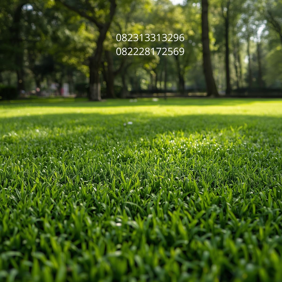 Rumput Sintetis Premium