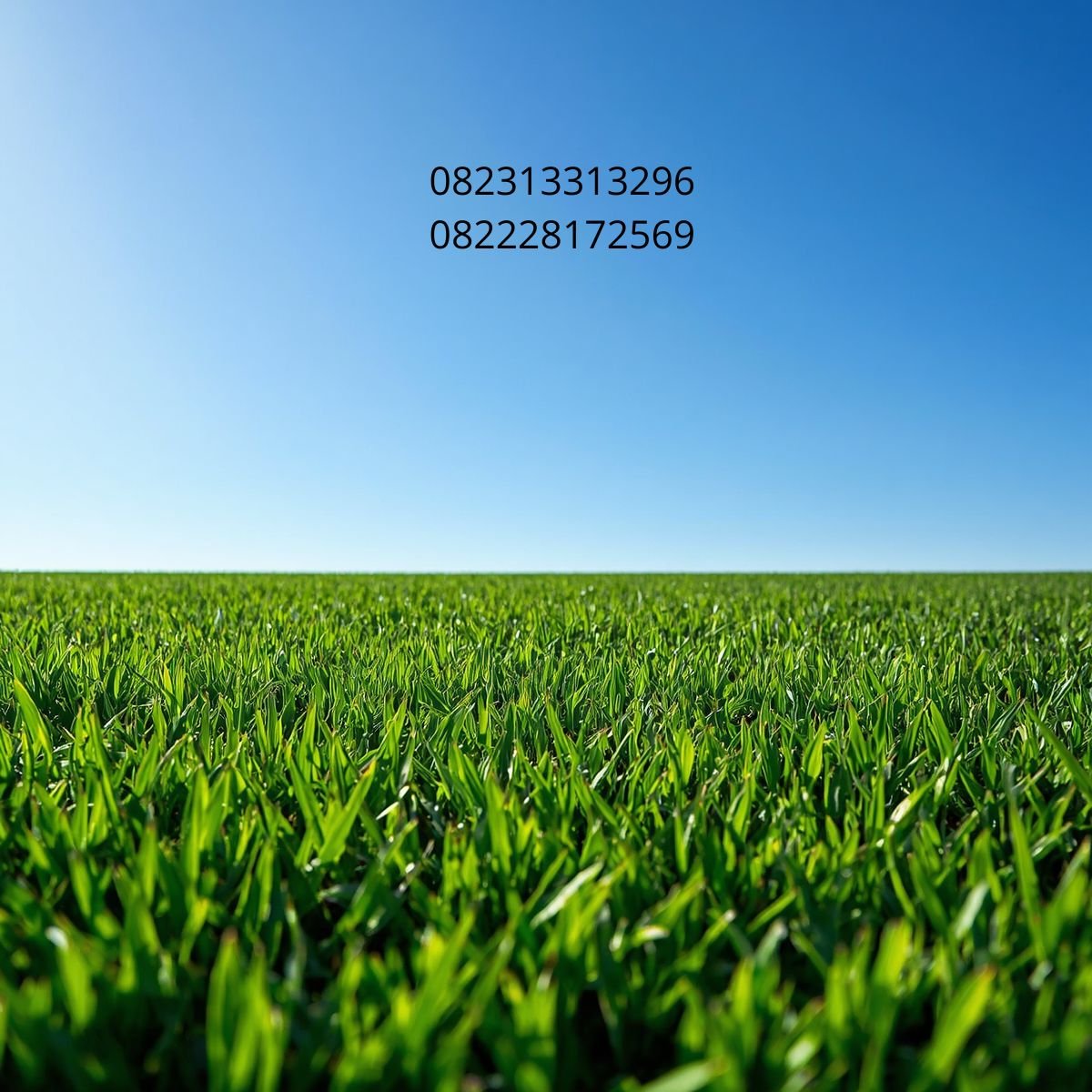 Rumput Artificial Indoor
