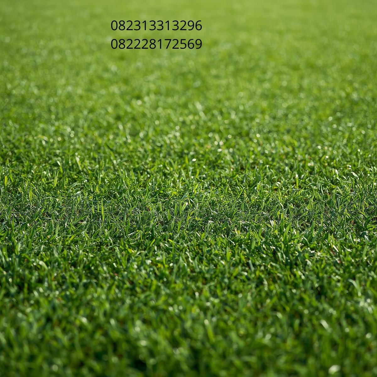 Rumput Sintetis Surabaya