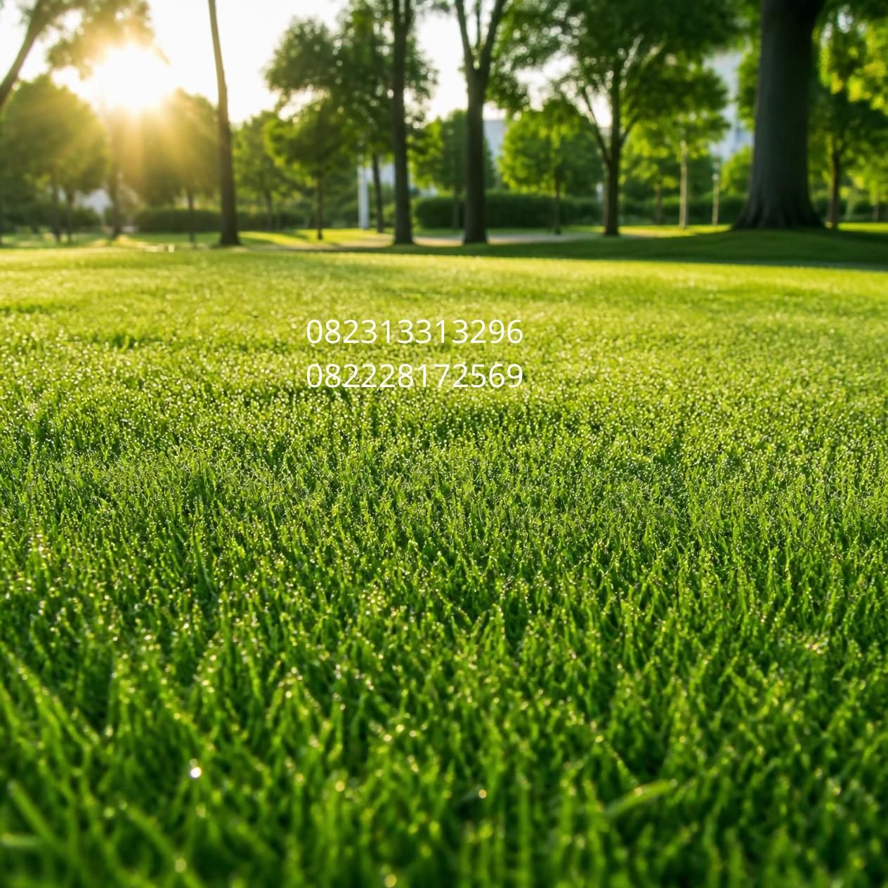rumput sintetis outdoor natural