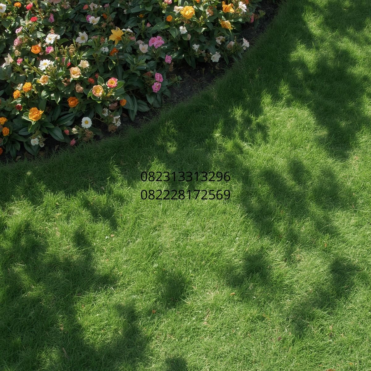 rumput sintetis murah berkualitas