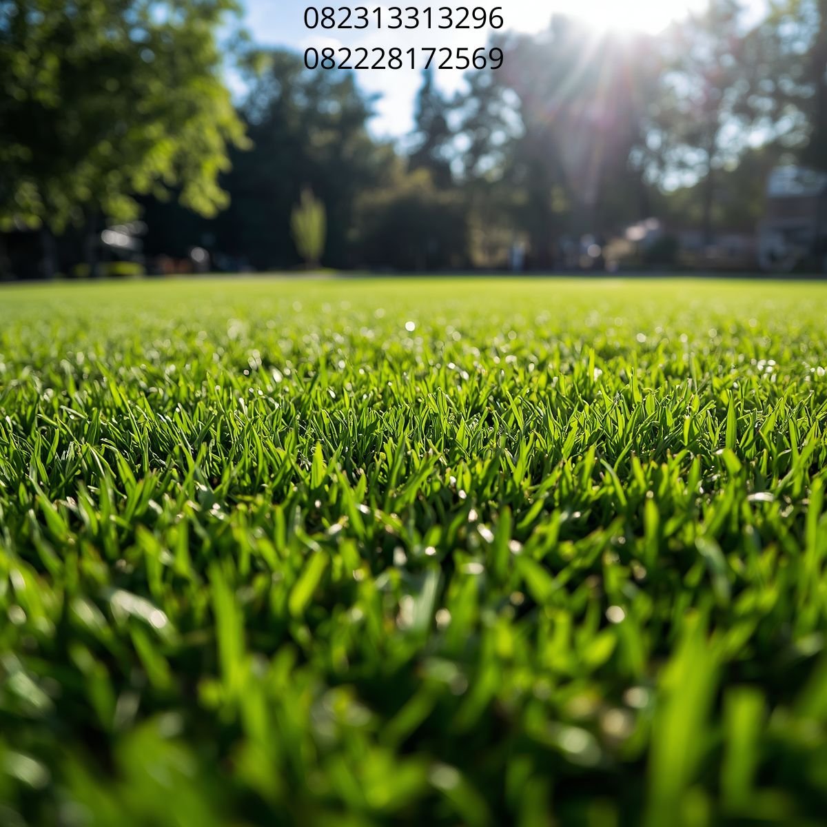 Rumput Artificial Berkualitas