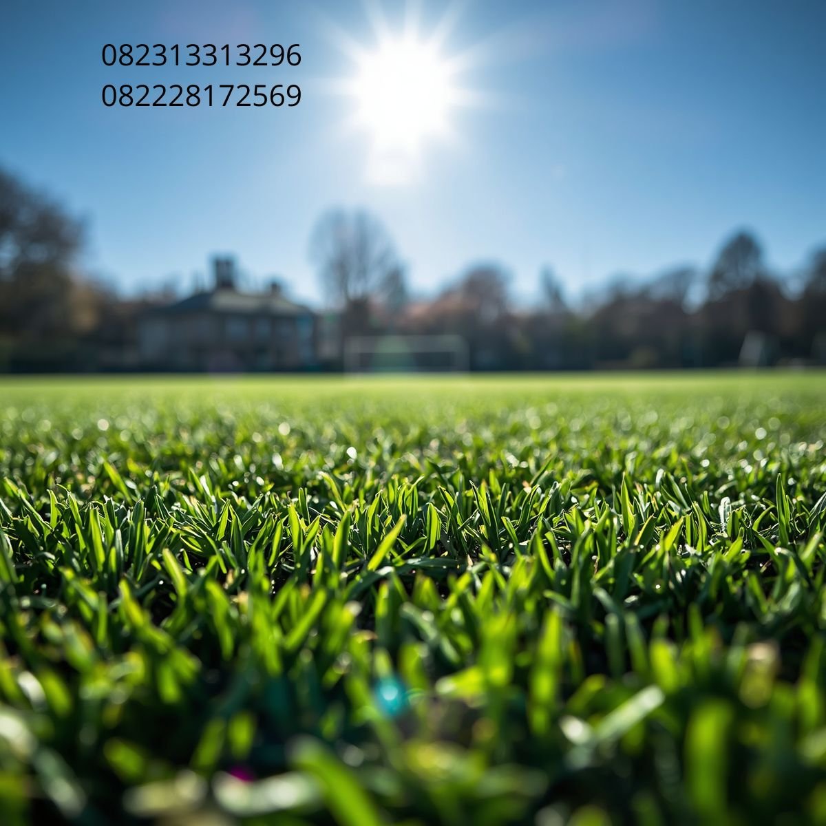 Rumput Sintetis Berkualitas Tinggi