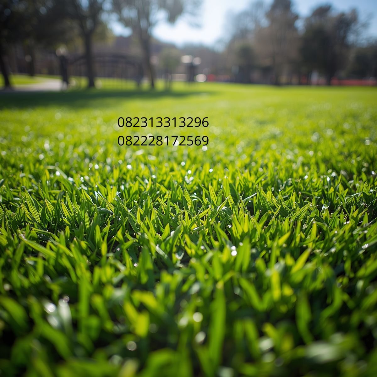 Rumput Sintetis Premium