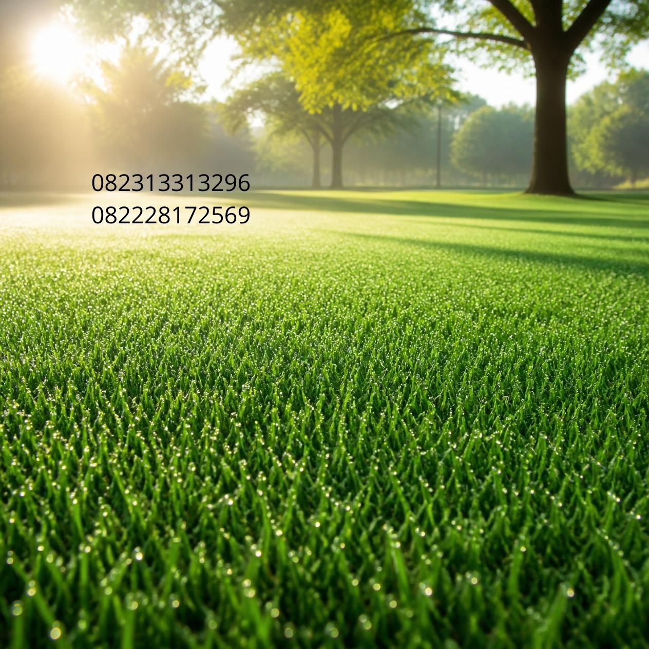 Supplier Rumput Sintetis