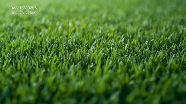 Rumput Sintetis Premium