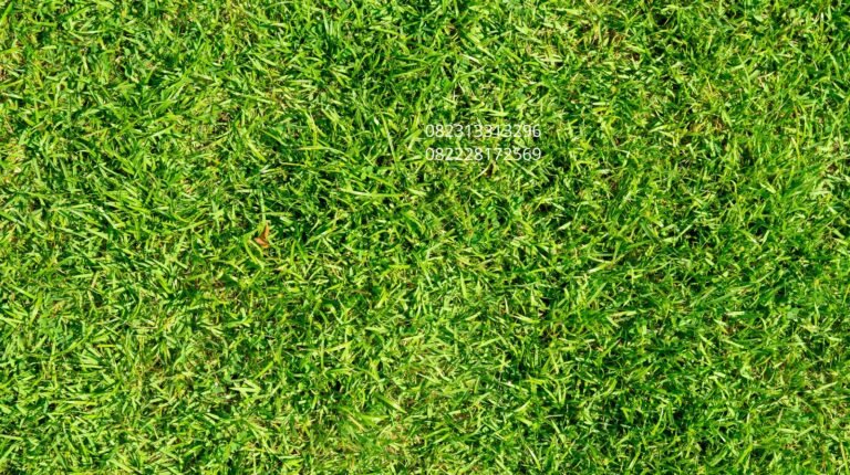 rumput sintetis terbaik