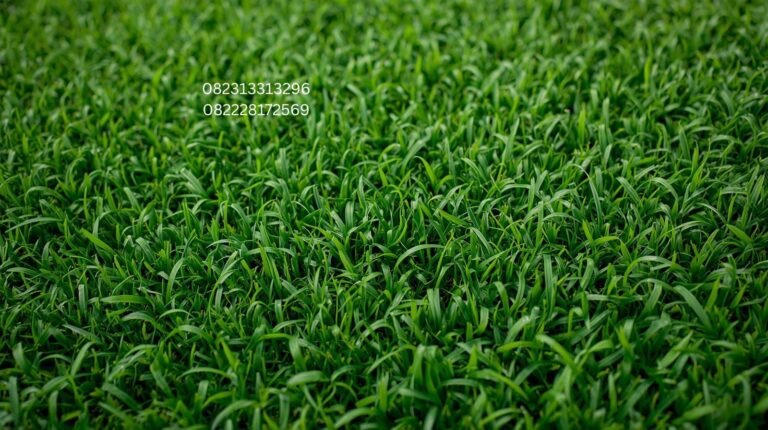 Rumput Sintetis Pilihan Villa Modern