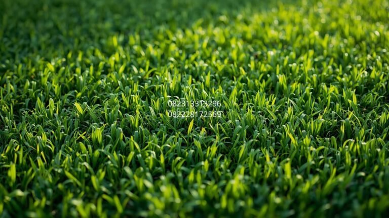 rumput sintetis indoor
