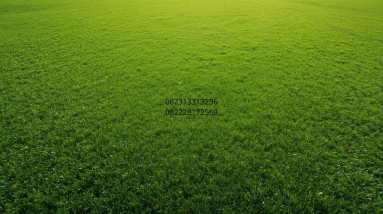 rumput sintetis medan