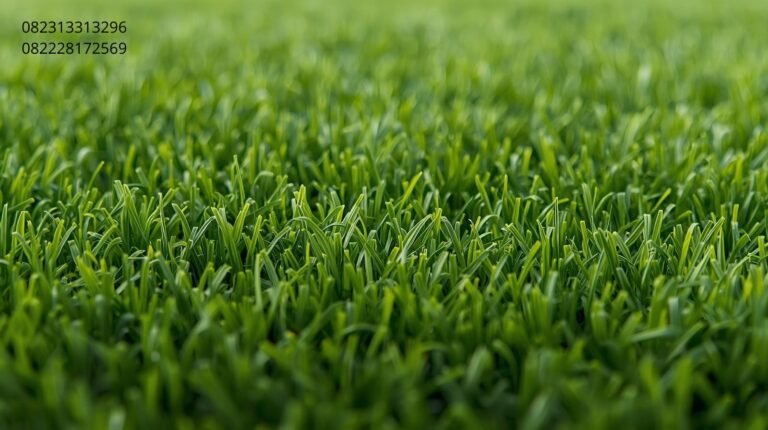 Beli Rumput Sintetis
