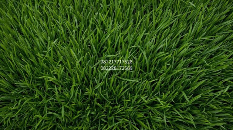 rumput sintetis berkualitas